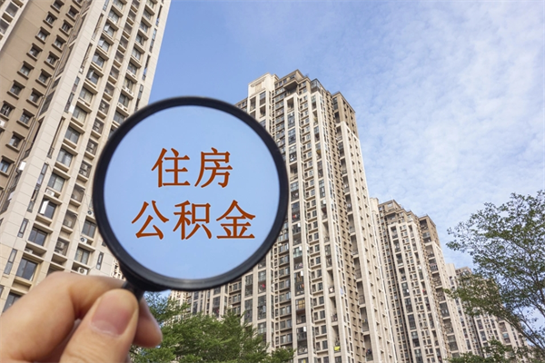 池州上海公积金提取代办咨询（上海公积金提取代办手续）